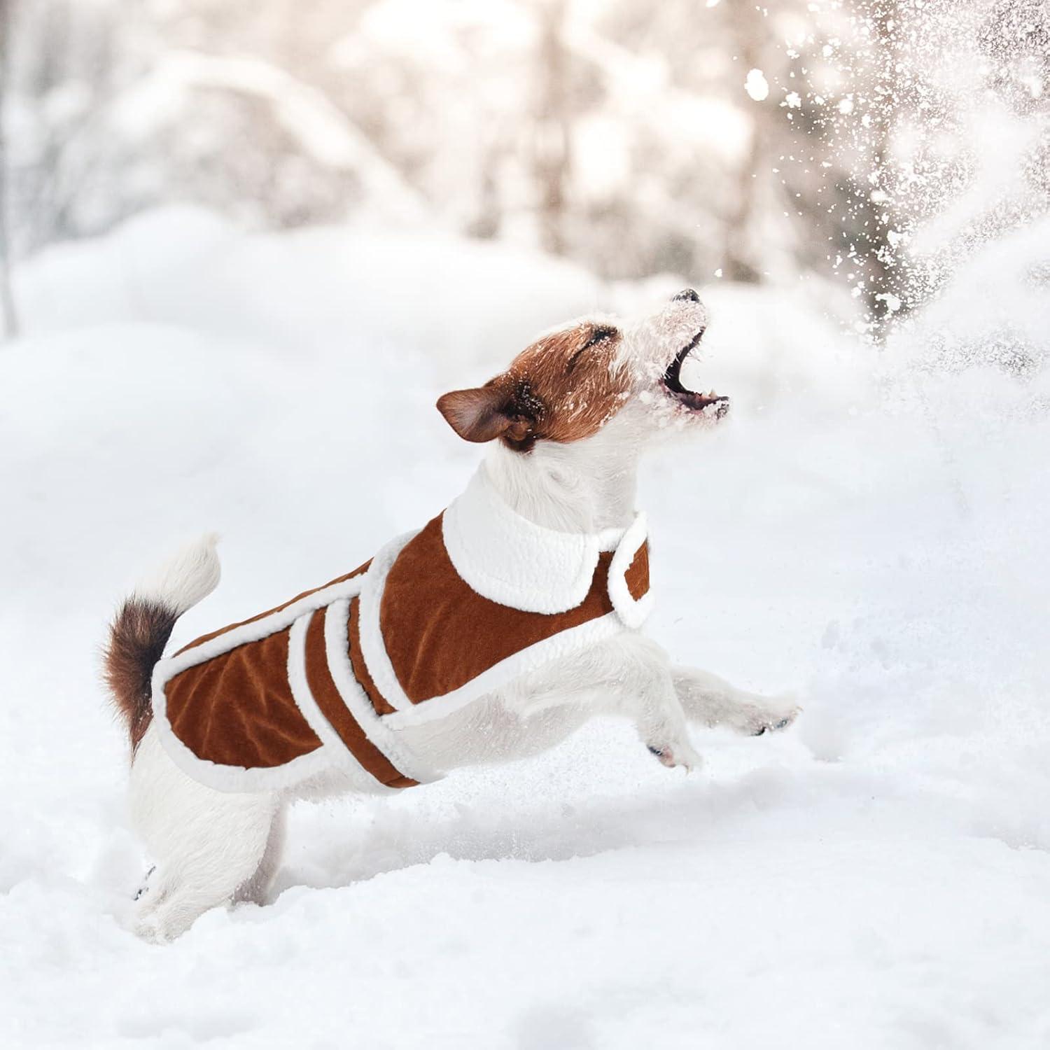 imageRypet Small Dog Winter Coat Shearling Fleece Dog Warm Coat for Small to Medium Breeds Coffee LargeCoffee1