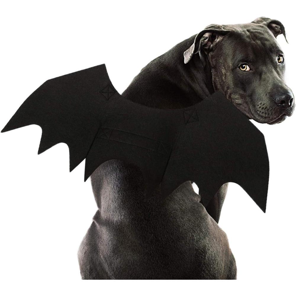 imageRypet Cat Bat Costume Halloween Pet Costume Bat Wings Cosplay Dog Costume Cat Costumes for Party XSLarge Pack of 1