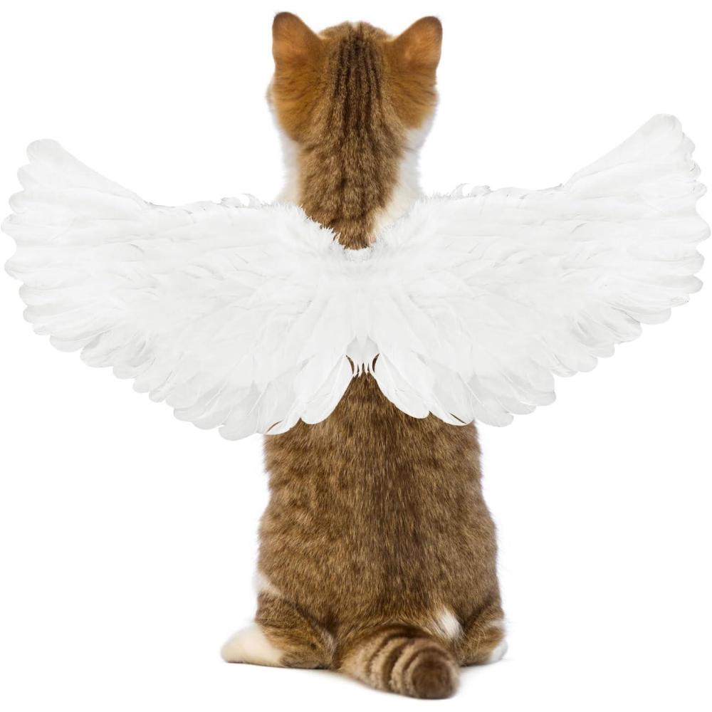imageRypet Cat Halloween Costume Halloween Cat Collar with Bells and Halloweens Pumpkin Hat Cats Costume Suit for Cats and Small DogsWhite Angel Wings