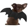 imageRypet Cat Bat Costume Halloween Pet Costume Bat Wings Cosplay Dog Costume Cat Costumes for Party XSXSmall Pack of 1