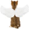 White Angel Wings