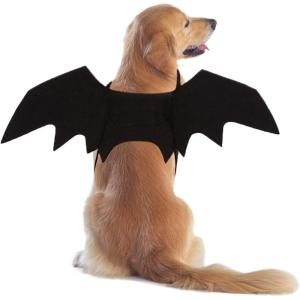 Rypet Cat Bat Costume Halloween Pet Costume Bat Wings Cosplay Dog Costume Cat Costumes for Party XS(Medium (Pack of 1))