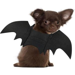 Rypet Cat Bat Costume Halloween Pet Costume Bat Wings Cosplay Dog Costume Cat Costumes for Party XS(X-Small (Pack of 1))