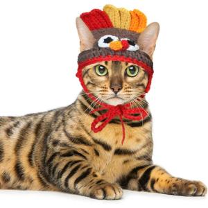 Rypet Cat Turkey Costume – Pet Turkey Hat Thanksgiving Apparel for Cats Small Dogs