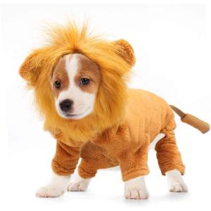 Rypet Dog Lion Costume Pet Clothes for Halloween Party Simulation Lion Pets Outfits Cosplay Dress up Clothes Pet Lions Hoodie Cat Costume for Party(Lion)