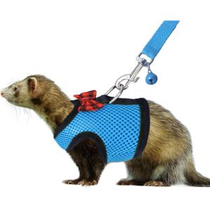 Rypet Small Animal Harness and Leash – Soft Mesh Small Pet Harness with Safe Bell, No Pull Comfort Padded Vest for Small Pet Pink S(Blue)