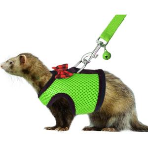 Rypet Small Animal Harness and Leash – Soft Mesh Small Pet Harness with Safe Bell, No Pull Comfort Padded Vest for Small Pet Pink S(Green)