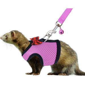 Rypet Small Animal Harness and Leash – Soft Mesh Small Pet Harness with Safe Bell, No Pull Comfort Padded Vest for Small Pet Pink S(Pink)