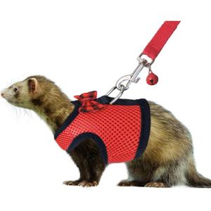 Rypet Small Animal Harness and Leash – Soft Mesh Small Pet Harness with Safe Bell, No Pull Comfort Padded Vest for Small Pet Pink S(Red)