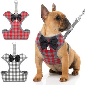 Rypet Small Dog Harness and Leash Set – No Pull Pet Harness with Soft Mesh Nylon Vest for Small Dogs and Cats Red M(Red & Gray)