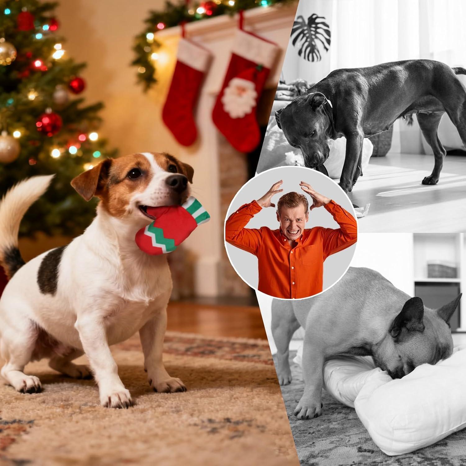 imageRypet 11 PCS Christmas Plush Dog Toys Set Interactive Dog Toys Filled Crinkle Paper for Aggressive Chewers with Bouquet BoxDurable Puppy Teething Toy Xmas Interactive Puppy Toy for Small Dog