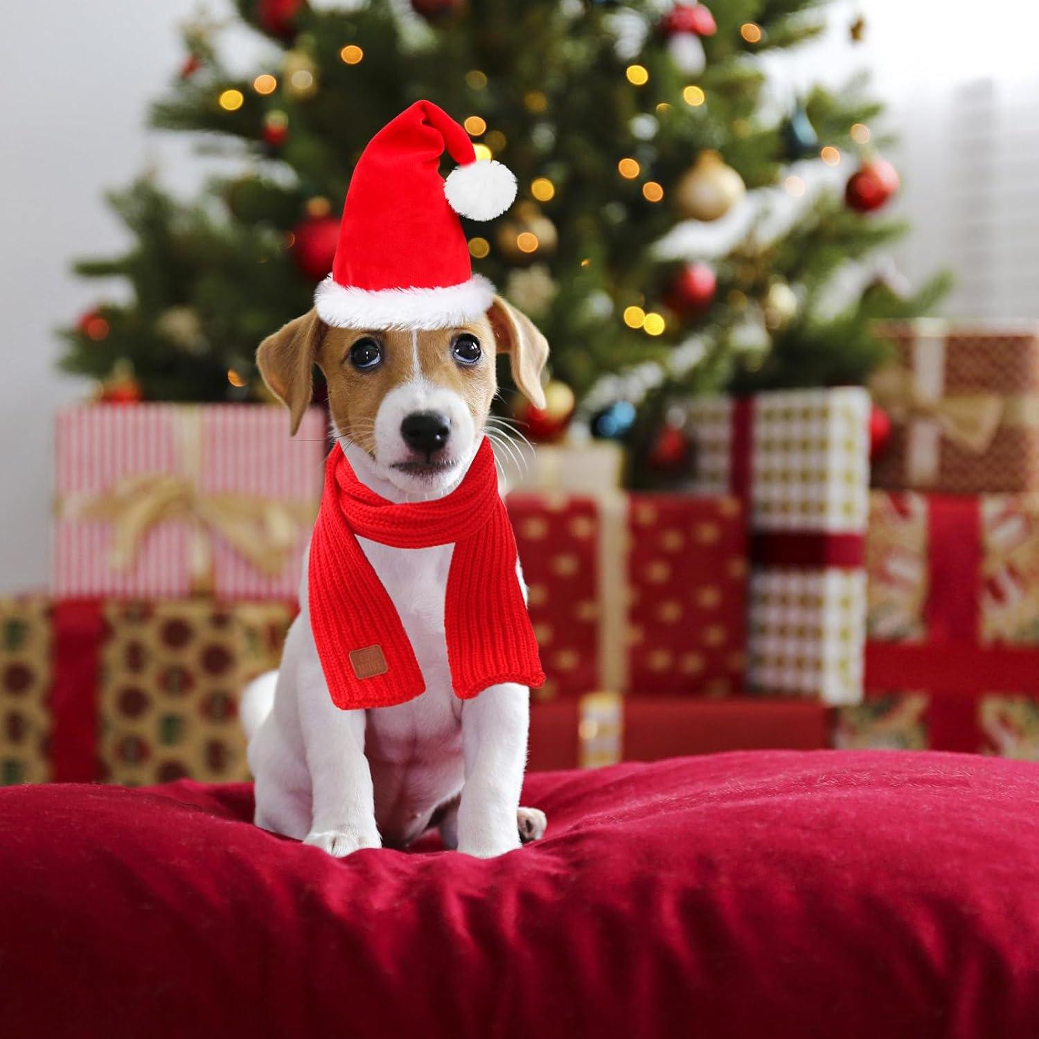 imageRypet 2 Pack Christmas Scarf for Medium Large Dogs Red Green Warm Knitted Fall Winter Bandanas Pet Winter Holiday Decoration L Length 47 inHatScarf